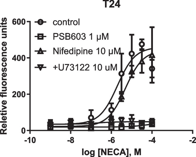 A<sub>2B</sub> adenosine receptor-triggered intracellular calcium mobilization: Cell type-dependent involvement of G<sub>i</sub>, G<sub>q</sub>, G<sub>s</sub> proteins and protein kinase C.