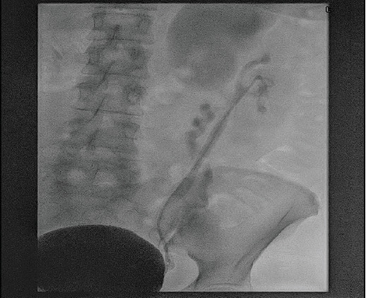 Abstract Image