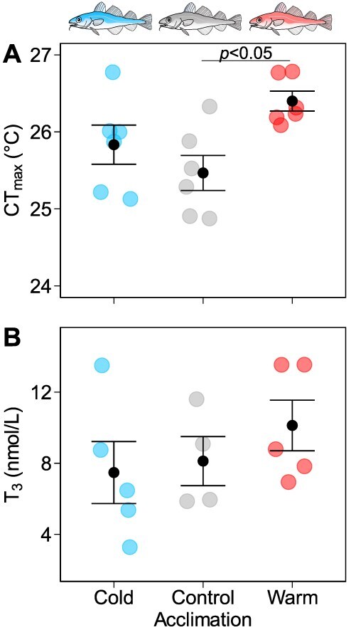 Putative neural and endocrine control of thermal acclimation in fish.