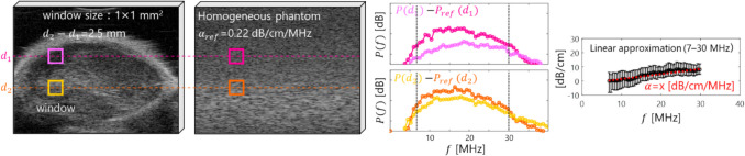 Attenuation Estimation and Acoustic Characterization of Mouse Lymph Node Tumor Using High-frequency Ultrasound.