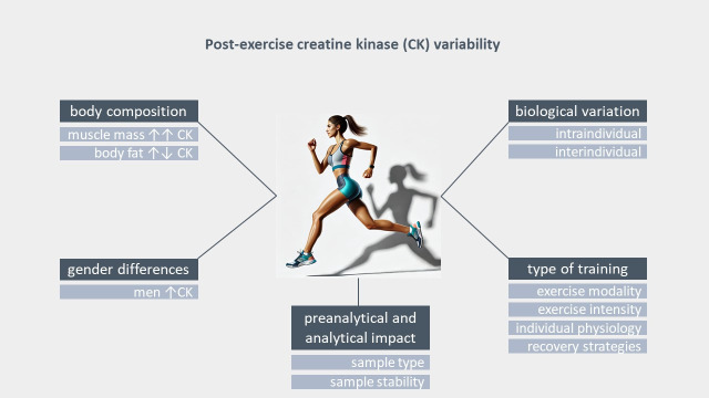 Post-exercise creatine kinase variability: a literature review.