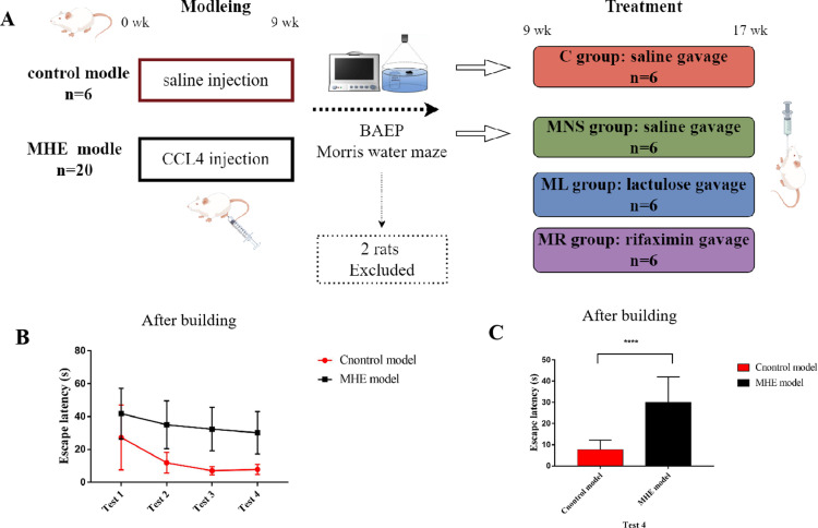 The effects of rifaximin and lactulose on the gut-liver-brain axis in rats with minimal hepatic encephalopathy.