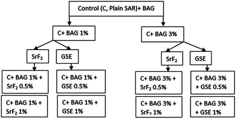 <i>In vitro</i> evaluation of bond strength and antibacterial activity of newly developed orthodontic self-adhesive resins (a pilot study).