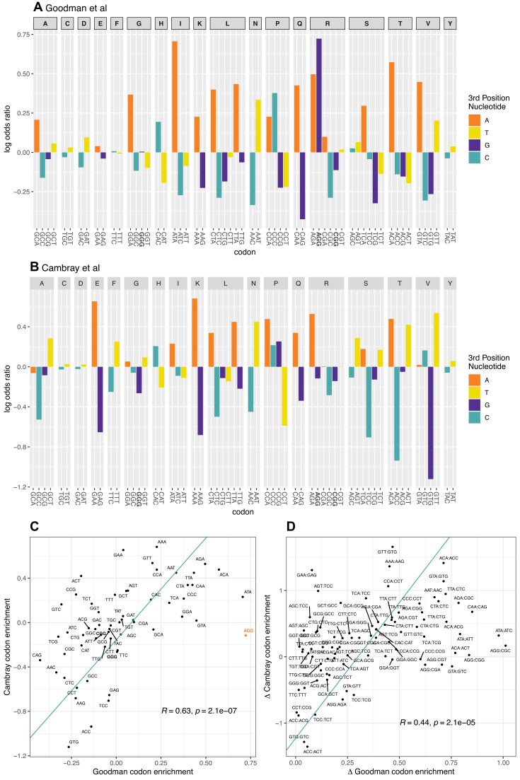 Why AGG is associated with high transgene output: passenger effects and their implications for transgene design.