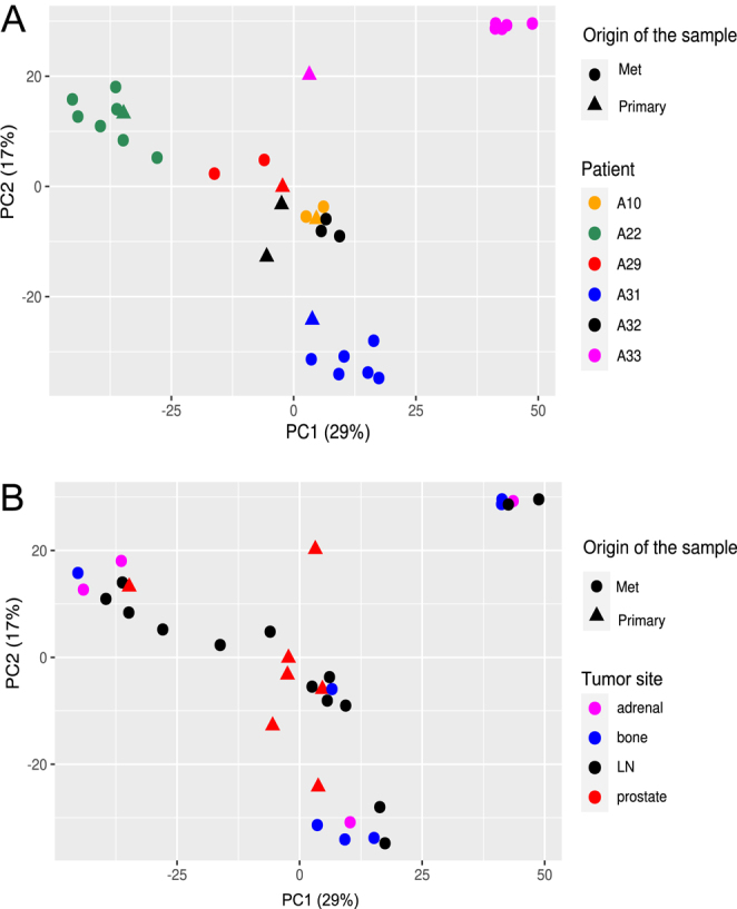 Identification of protein-coding genes associated with metastatic prostate cancer.