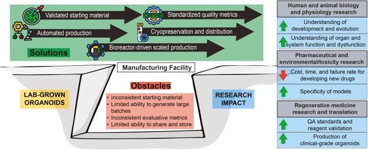 The need for an organoid manufacturing, preservation, and distribution center.