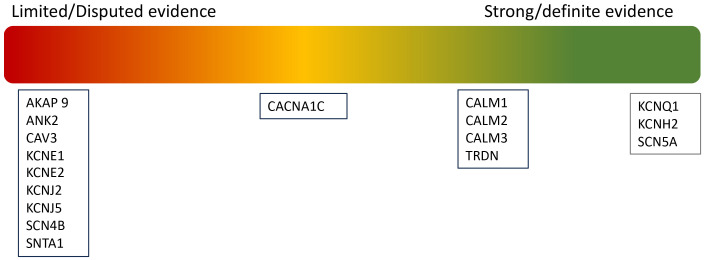 Congenital Long QT Syndrome: A Focus on Risk Stratification and Management.