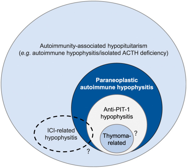 Hypopituitarism: genetic, developmental, and acquired etiologies with a focus on the emerging concept of autoimmune hypophysitis.