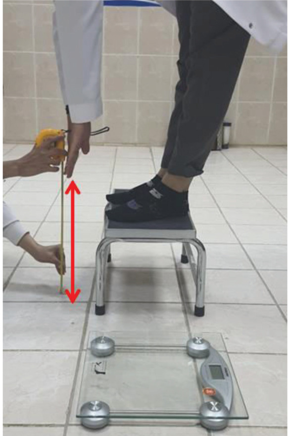Acute Effects of Whole-Body Vibration on the Anterior Trunk Flexion in Sedentary Female University Students.