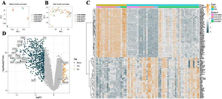 Analysis of the inflammatory gene expression characteristics and immune microenvironment regulatory mechanisms in the testicular tissue of patients with non-obstructive azoospermia.