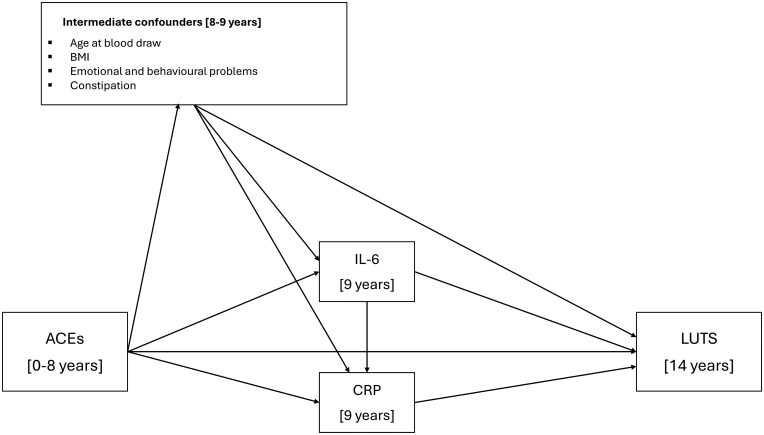 Adverse childhood experiences and lower urinary tract symptoms in adolescence: the mediating effect of inflammation.