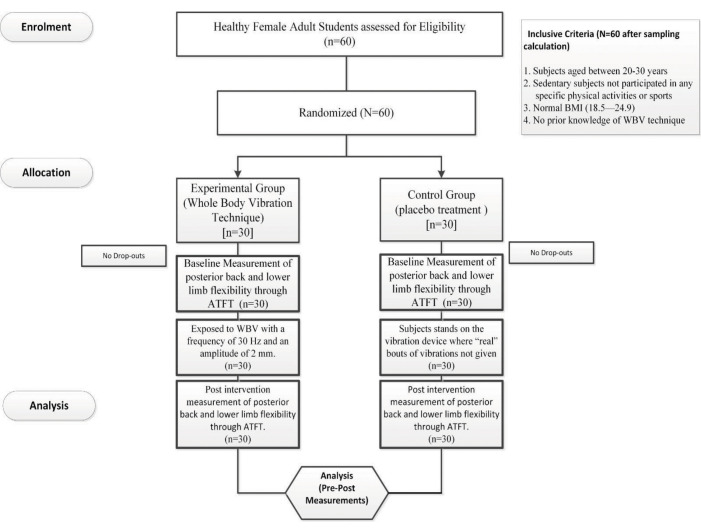 Acute Effects of Whole-Body Vibration on the Anterior Trunk Flexion in Sedentary Female University Students.