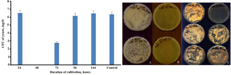 Anti-candida activity of <i>Lacticaseibacillus rhamnosus</i> R-2002 and its possible application in candidiasis prevention.