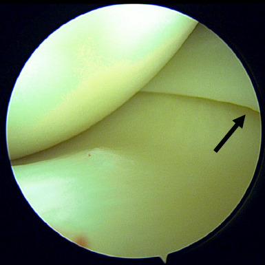 Abstract Image