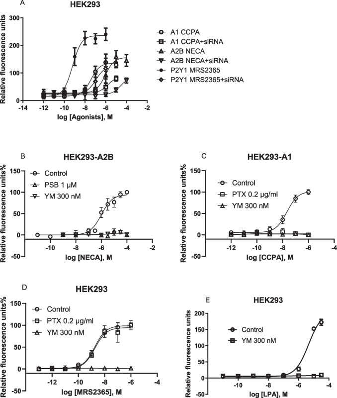 A<sub>2B</sub> adenosine receptor-triggered intracellular calcium mobilization: Cell type-dependent involvement of G<sub>i</sub>, G<sub>q</sub>, G<sub>s</sub> proteins and protein kinase C.