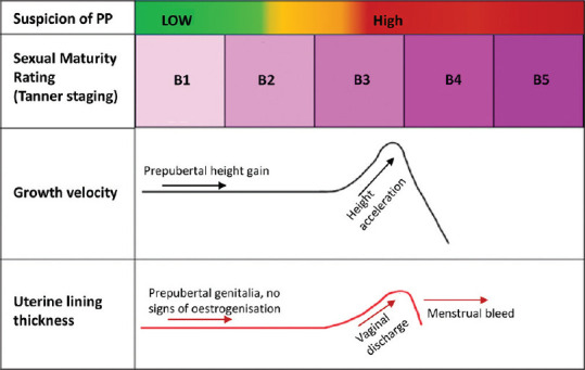 Approach to premature thelarche in children.