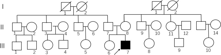 Molecular Genetic Analysis of a <i>DMD</i> Frameshift Mutation in a Boy with Duchenne Muscular Dystrophy by MLPA and Sanger Sequencing.
