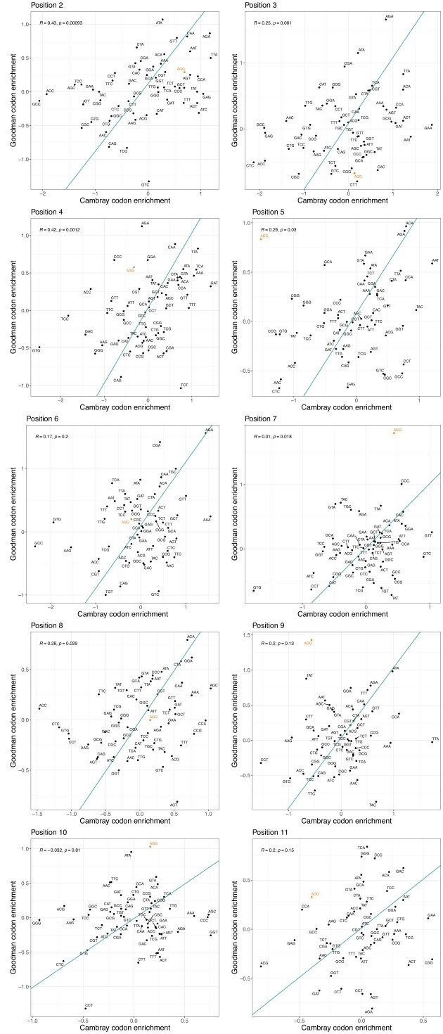 Why AGG is associated with high transgene output: passenger effects and their implications for transgene design.