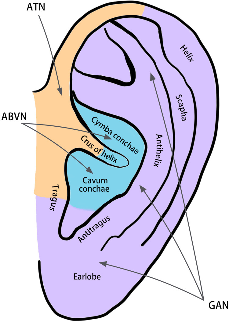 Transcutaneous Auricular Vagus Nerve Stimulation (taVNS) for Insomnia Disorder: A Narrative Review of Effectiveness, Mechanisms and Recommendations for Clinical Practice.