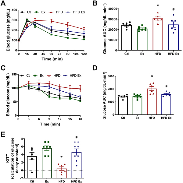 Effects of endurance exercise training on endoplasmic reticulum stress in pancreatic islets of obese mice.