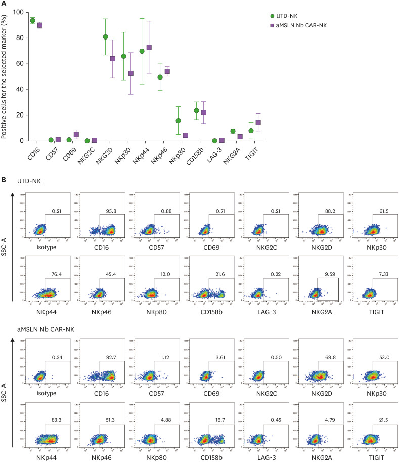 Nanobody-Based CAR NK Cells for Possible Immunotherapy of Mesothelin<sup>+</sup> Tumors.