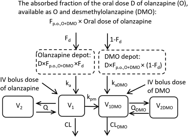 Acute inflammation induced by the Escherichia coli lipopolysaccharide considerably increases the systemic and brain exposure of olanzapine after oral administration in mice.