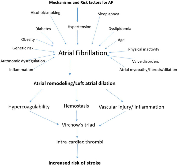 Anticoagulation for Stroke Prevention in Patients with Atrial Fibrillation: A Review of the Literature and Current Guidelines.