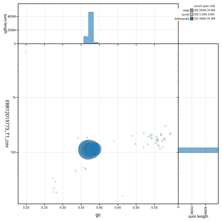The genome sequence of the Dark Umber moth, <i>Philereme transversata</i> (Hufnagel, 1767).