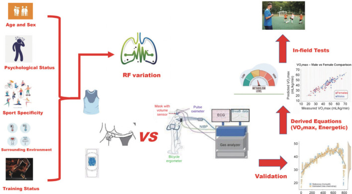 Respiratory frequency: from health to sports performance monitoring.