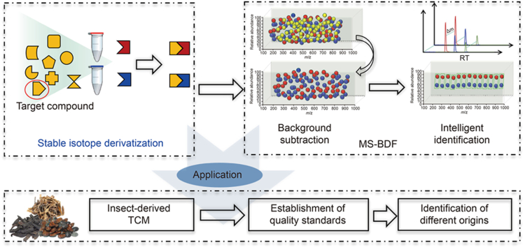 Breaking barriers: MS-BDF tools in the quality control of insect-derived traditional Chinese medicine.