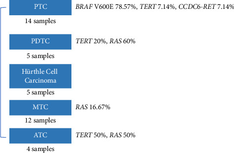 Molecular Diagnosis of Thyroid Nodules Using Next-Generation Sequencing in the Chinese Population.