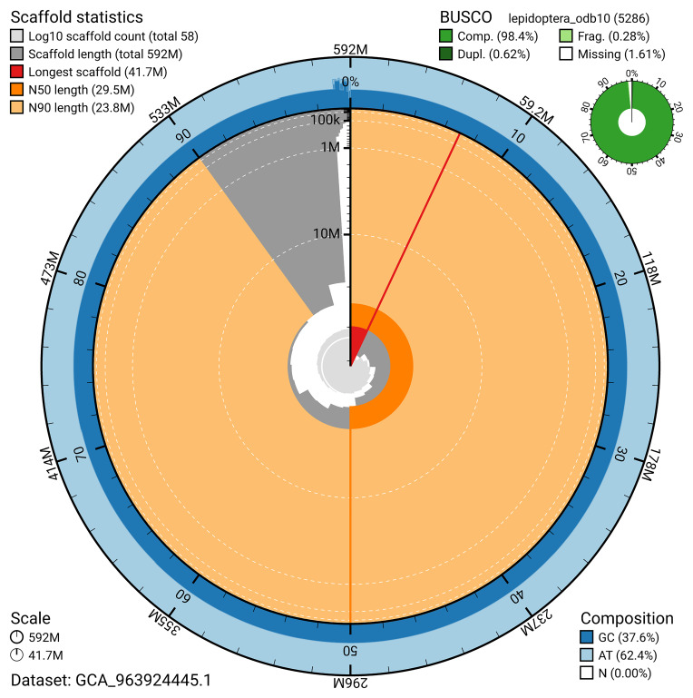 The genome sequence of the Dark Umber moth, <i>Philereme transversata</i> (Hufnagel, 1767).