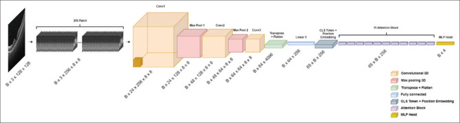 From Image to Sequence: Exploring Vision Transformers for Optical Coherence Tomography Classification.