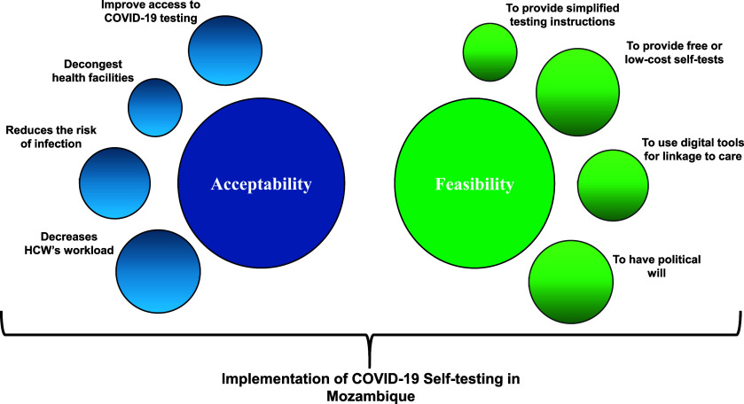 Decision-makers' perspectives on the implementation of COVID-19 self-testing in Mozambique.