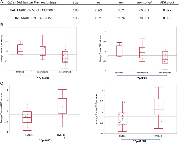 Immune Profiling of Uveal Melanoma Liver Metastases and Response to Checkpoint Inhibitors.