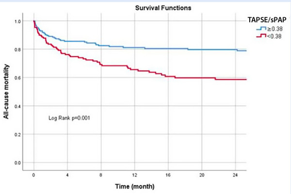 Right ventricular uncoupling in acute heart failure with preserved or mildly reduced ejection fraction: a simple parameter to predict long-term mortality.