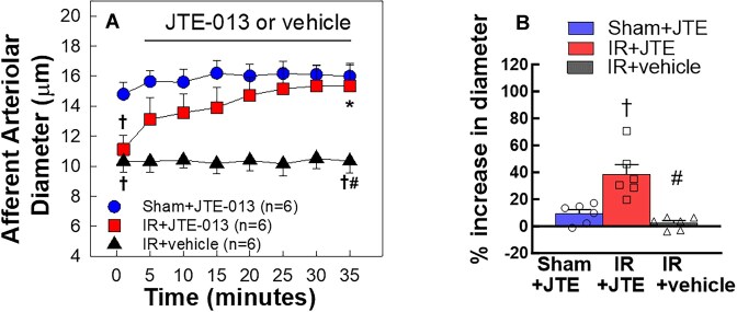 Sphingosine-1-Phosphate Receptor 2 Promotes Renal Microvascular Constriction and Kidney Injury Following Renal Ischemia-Reperfusion in Rats.