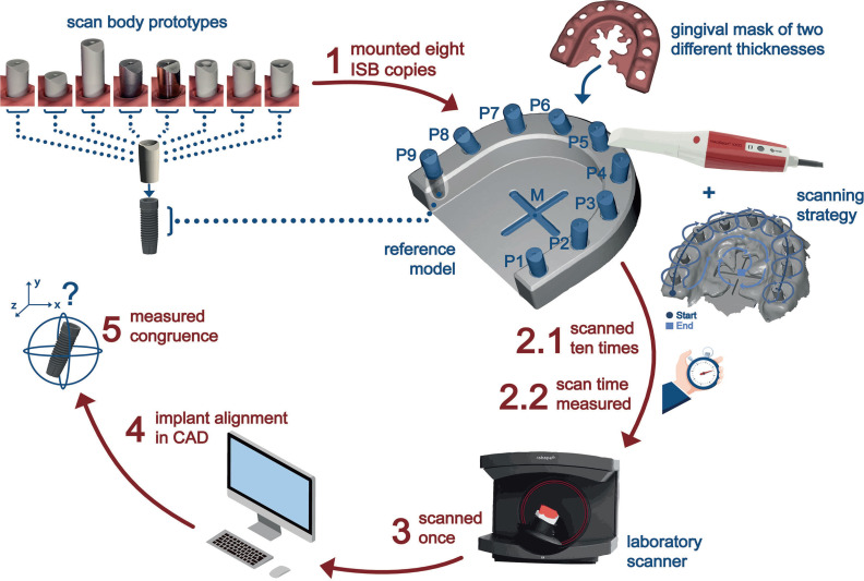Effects of scan body material, length and top design on digital implant impression accuracy and usability: an <i>in vitro</i> study.