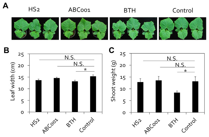 Induced Resistance against Pseudomonas syringae pv. lachrymans in Cucumber by Spraying Cell-Free Microalgae Supernatant.