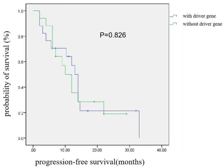 Evaluation of the Effectiveness and Safety Profile of First-Line Immune Checkpoint Inhibitors Combined with Chemotherapy in Pulmonary Sarcomatoid Carcinoma.