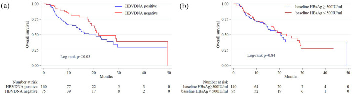 Relationship between HBsAg/HBV DNA and prognosis in patients with HBV-related hepatocellular carcinoma treated with PD-1/PD-L1 inhibitors.