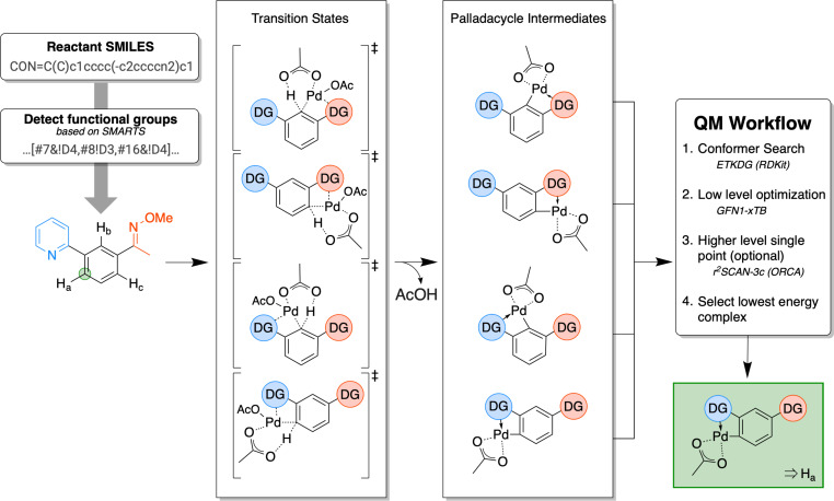 Enhancing chemical synthesis planning: automated quantum mechanics-based regioselectivity prediction for C-H activation with directing groups.