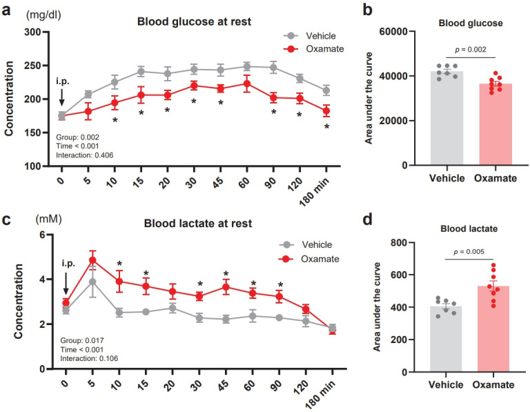 Oxamate suppresses whole-body energy metabolism at rest and during exercise in mice by inhibiting fat oxidation and altering lactate dynamics.