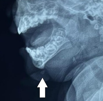 Abstract Image