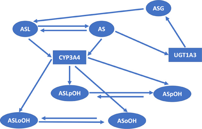 Determination of the latent geometry of atorvastatin pharmacokinetics by transfer entropy to identify bottlenecks.