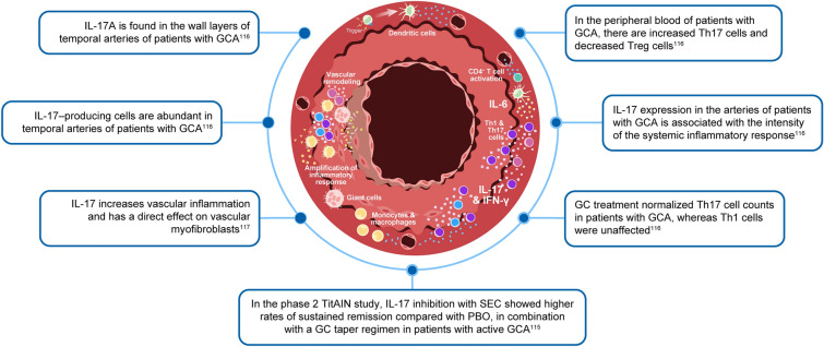 The Impact of IL-17A Inhibition in Rheumatic and Musculoskeletal Diseases: Current Insights and Future Prospects.