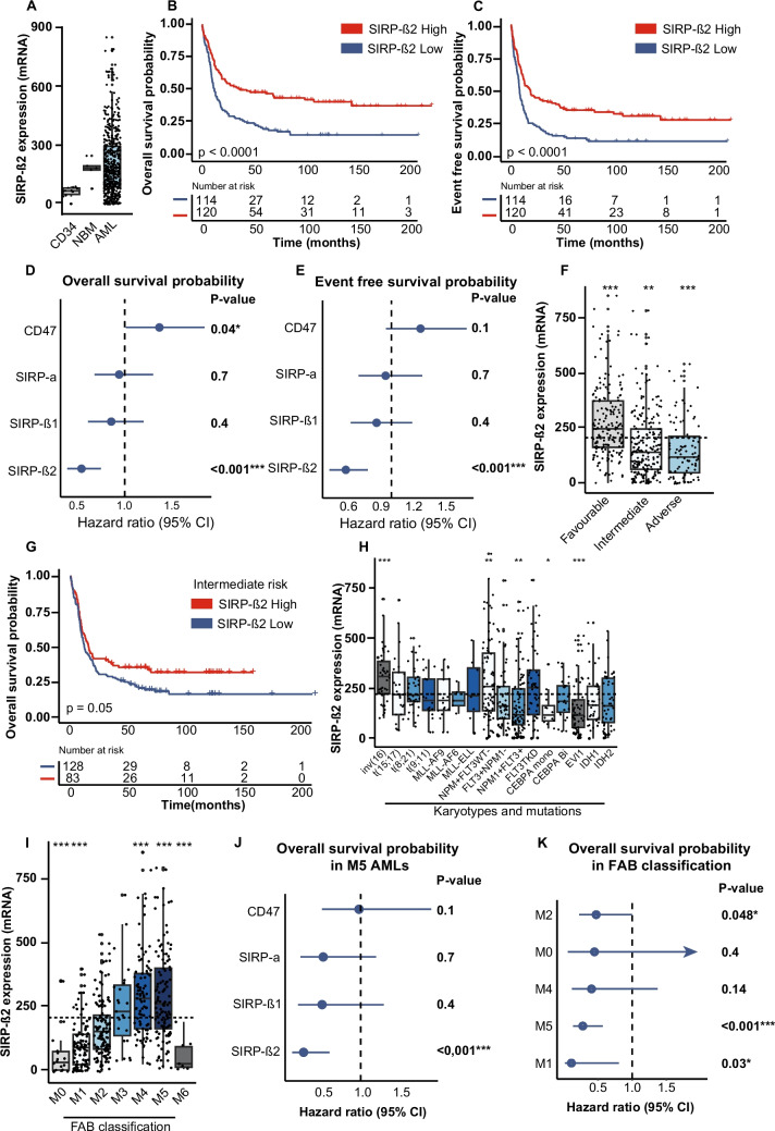 High expression of signal regulatory protein beta 2 marks a favourable prognostic AML subgroup and associates with increased sensitivity to phagocytosis.