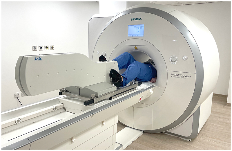 Establishing Cardiac MRI Reference Ranges Stratified by Sex and Age for Cardiovascular Function during Exercise.