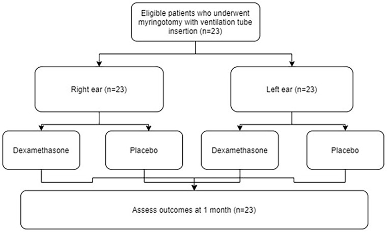 Intratympanic steroid injection adjunct to myringotomy with ventilation tube insertion for otitis media with effusion in children with cleft palate - a matched pair randomized controlled trial.