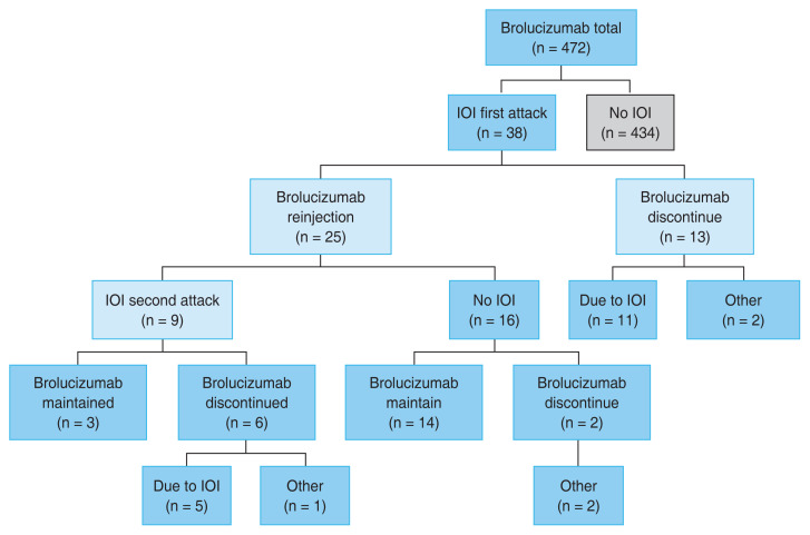 Reinjection in Patients with Intraocular Inflammation Development after Intravitreal Brolucizumab Injection.